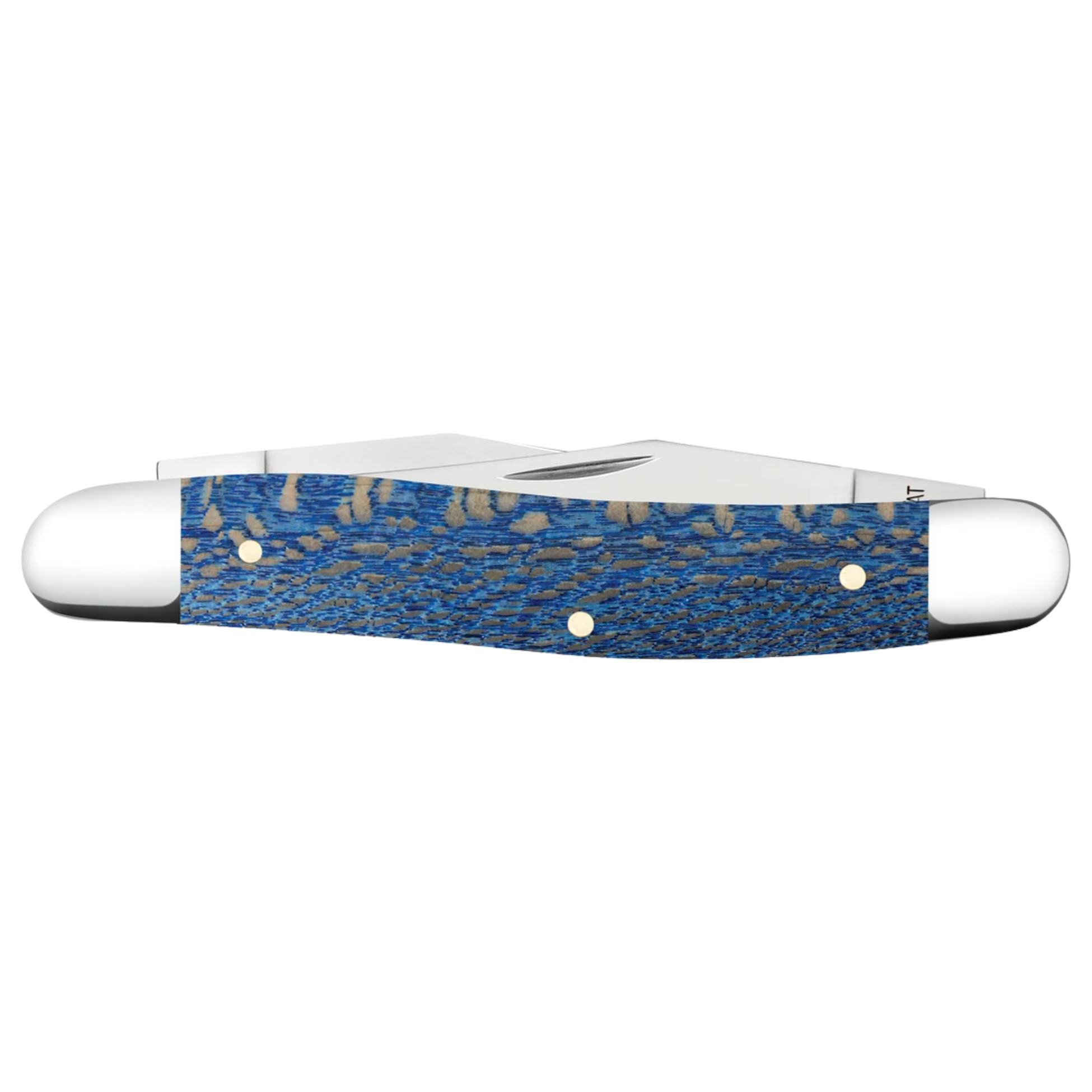 Case Knives | Smooth Blue Sycamore Wood Muskrat | 63737