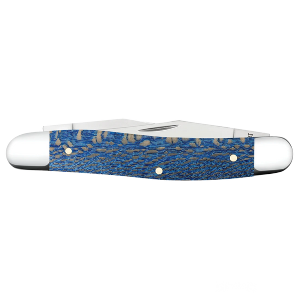 Case Knives | Smooth Blue Sycamore Wood Muskrat | 63737