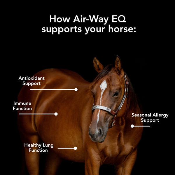 MVP | Air-Way EQ | Pellets