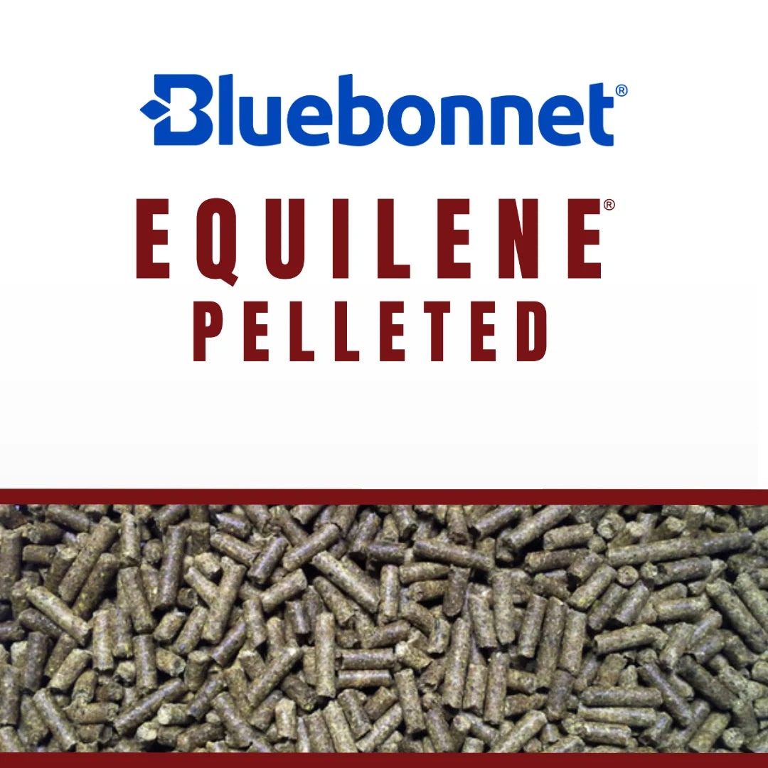 Bluebonnet Feeds | Equilene Pelleted