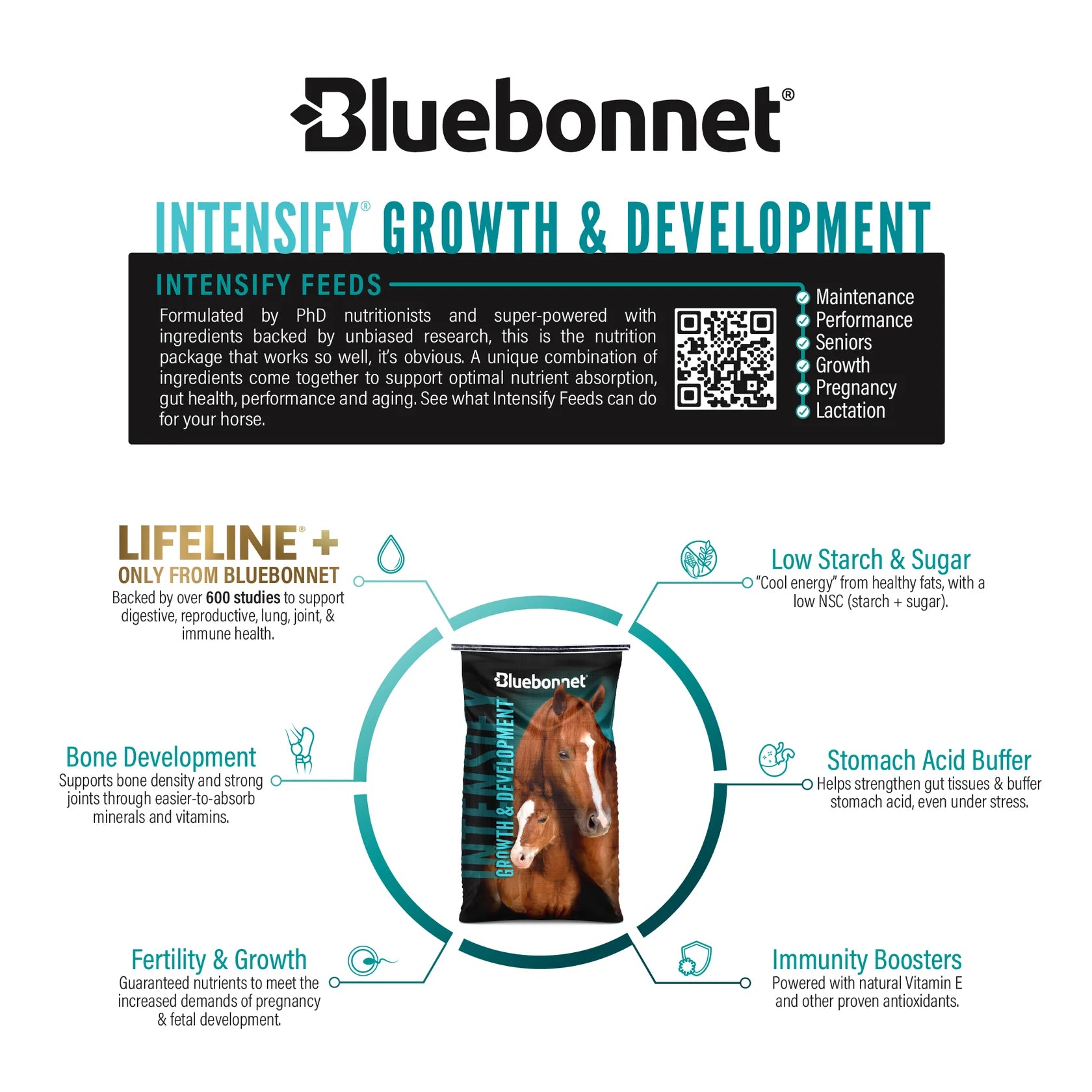 Bluebonnet Feeds | Intensify Growth & Development