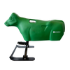 Smarty Rodeo | Calf