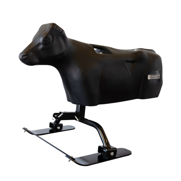 Smarty Rodeo | Calf