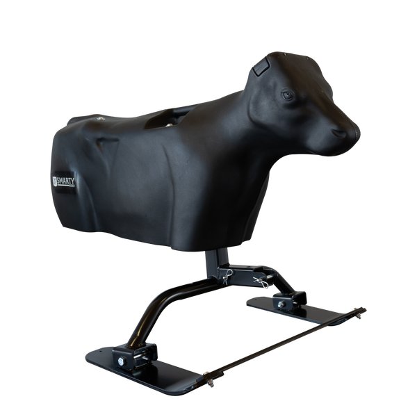 Smarty Rodeo | Calf
