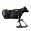 Smarty Rodeo | Calf