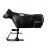 Smarty Rodeo | Calf
