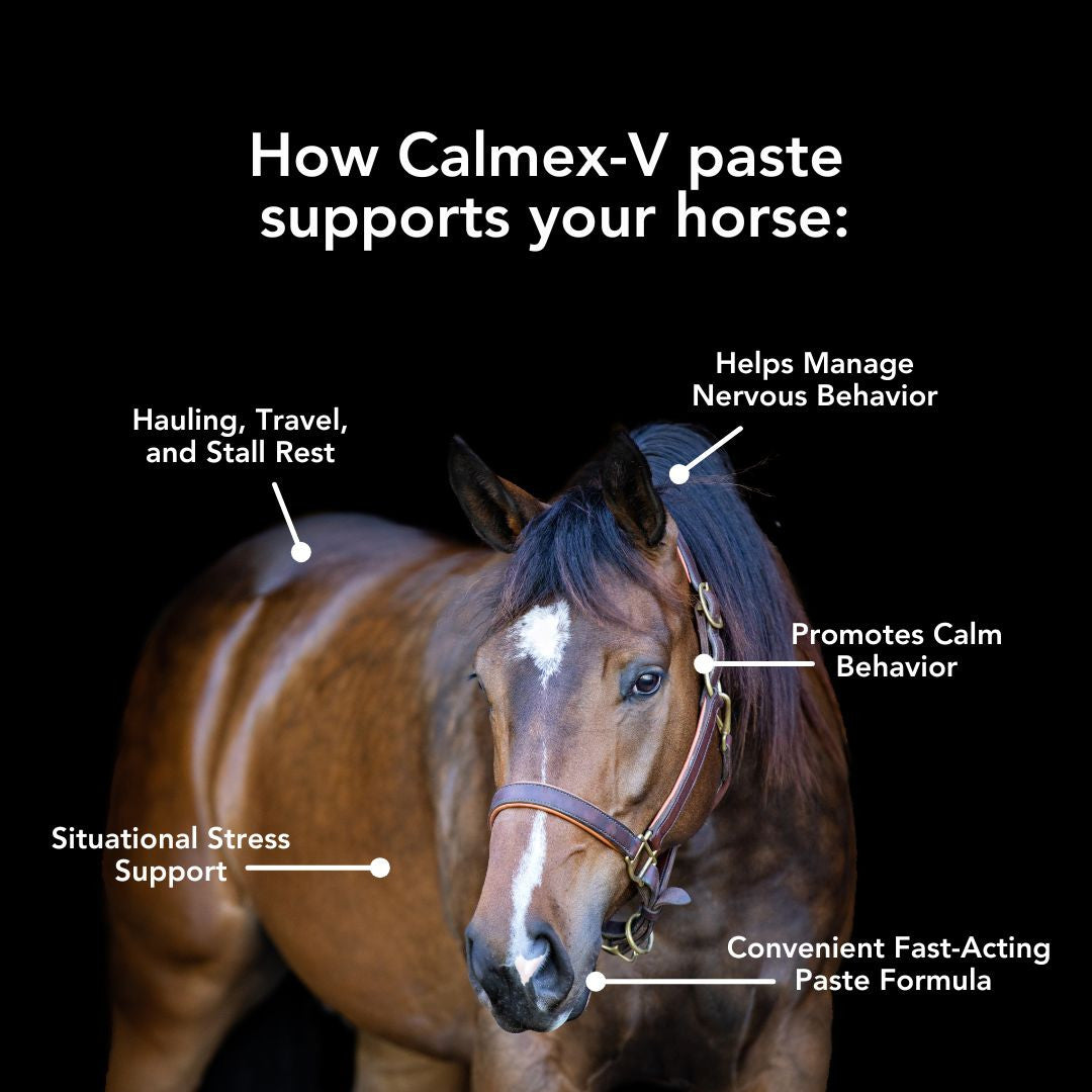 MVP | Calmex-V Oral Calming Support