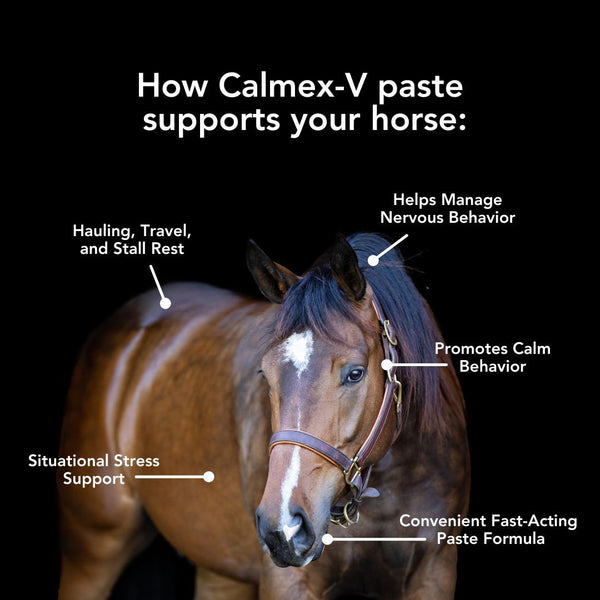 MVP | Calmex-V Oral Calming Support