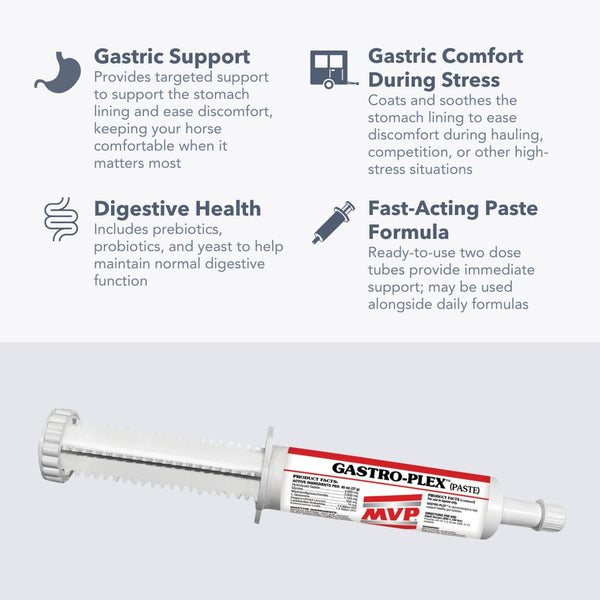 MVP | Gastro-Plex Paste
