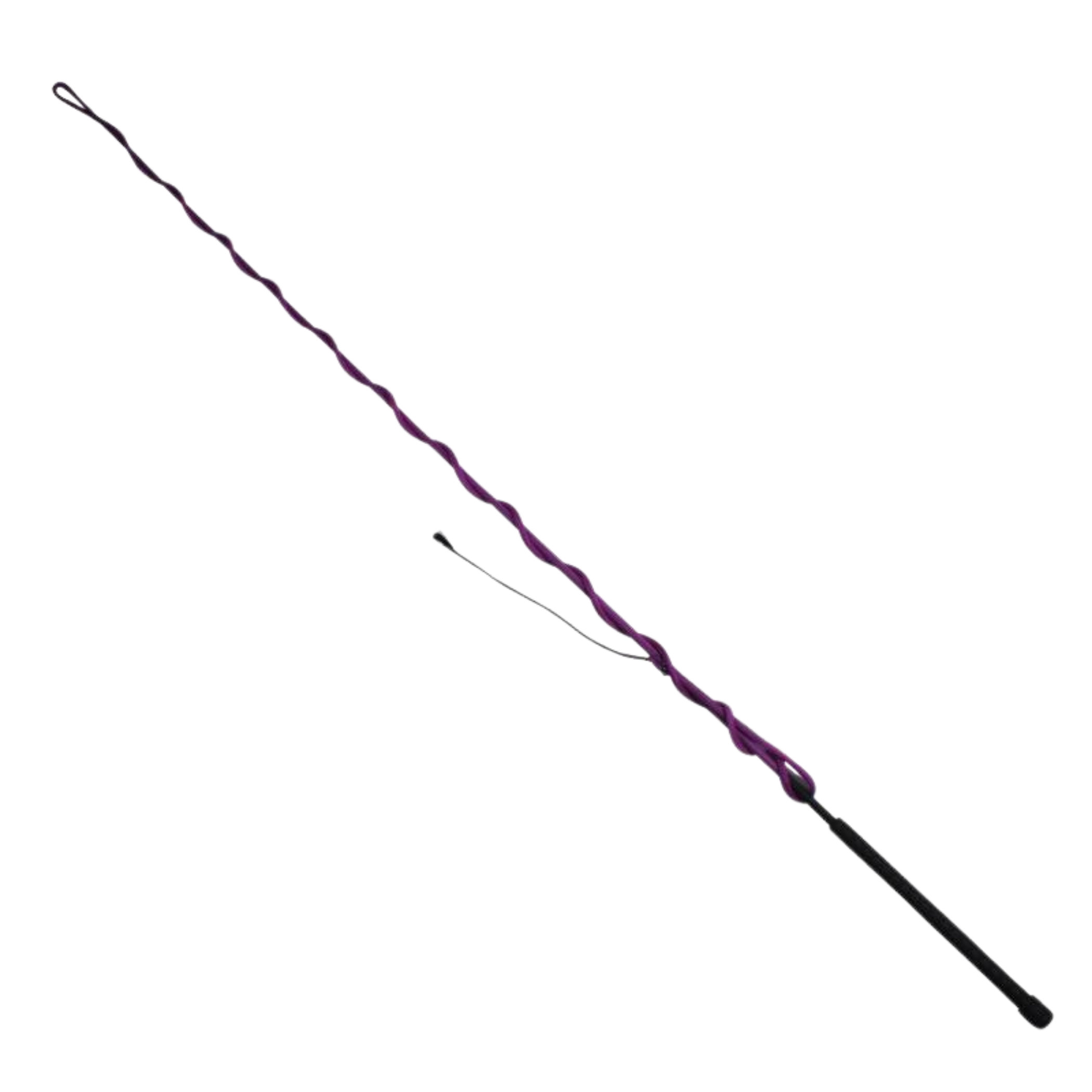 Professional's Choice | Lunge Whip