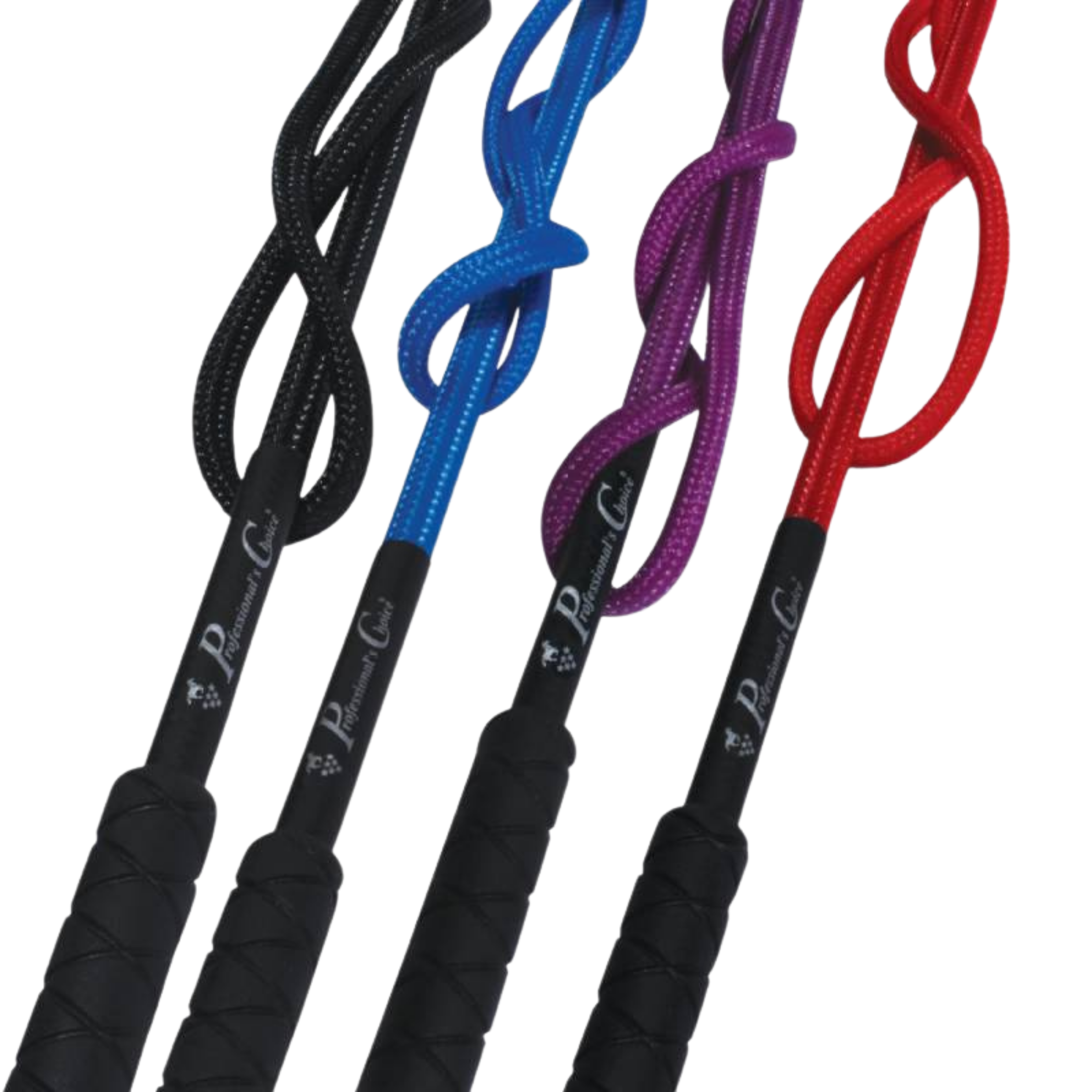 Professional's Choice | Lunge Whip
