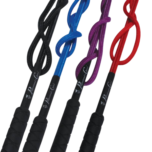 Professional's Choice | Lunge Whip