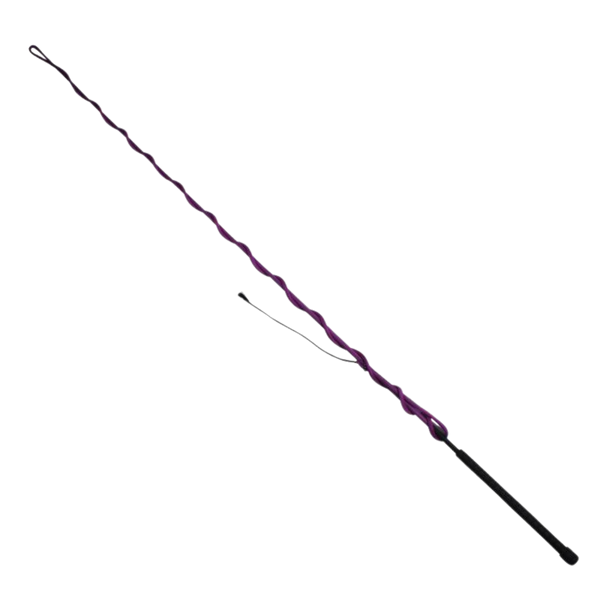 Professional's Choice | Lunge Whip