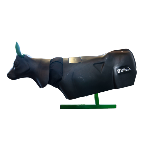 Smarty Rodeo | Bulldogger 3.0