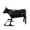 Smarty Rodeo | Steer
