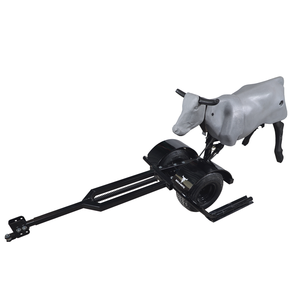 Smarty Rodeo | Trainer
