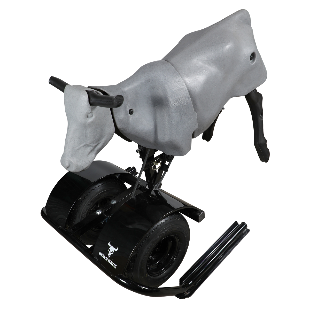 Smarty Rodeo | Trainer