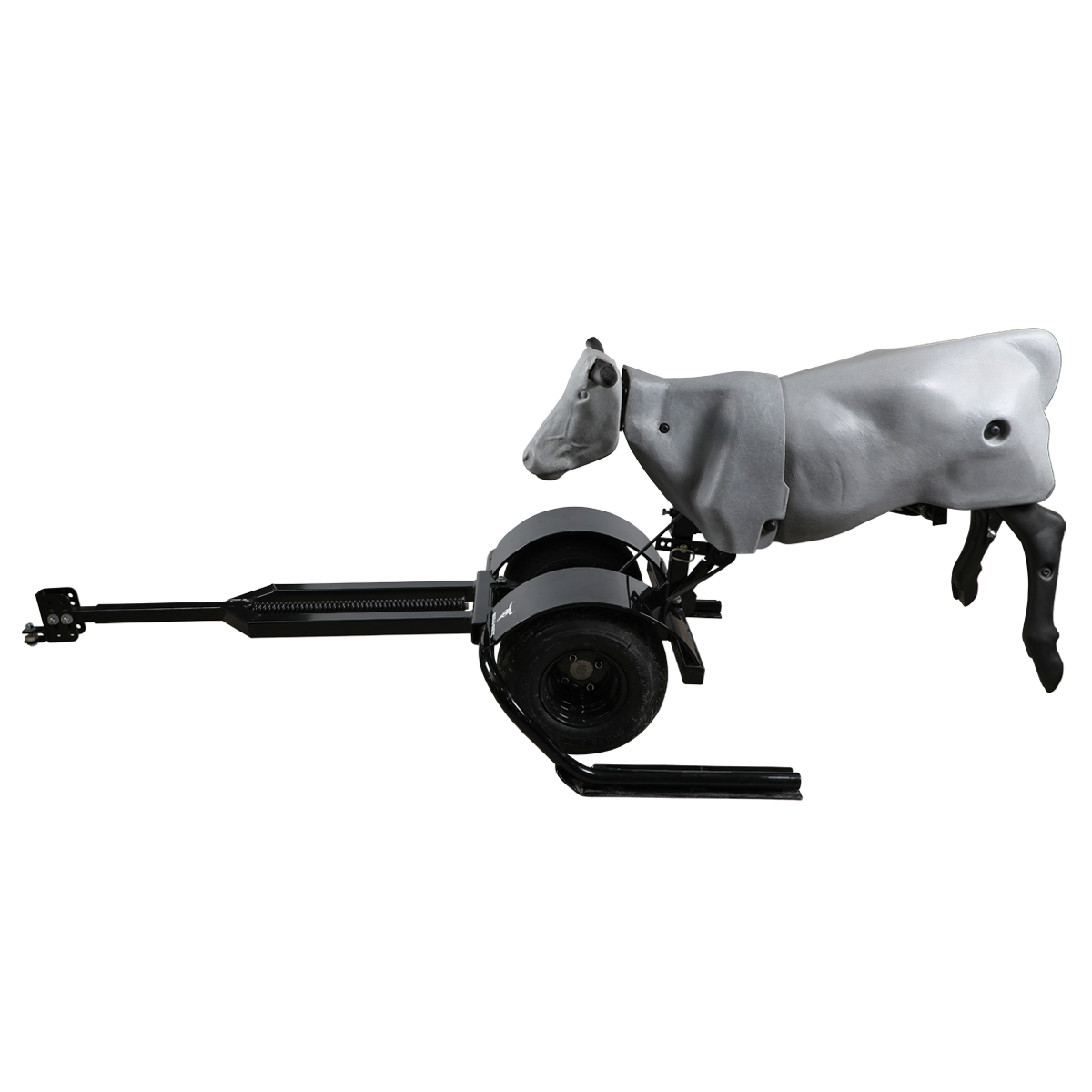 Smarty Rodeo | Trainer