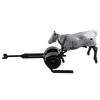 Smarty Rodeo | Trainer