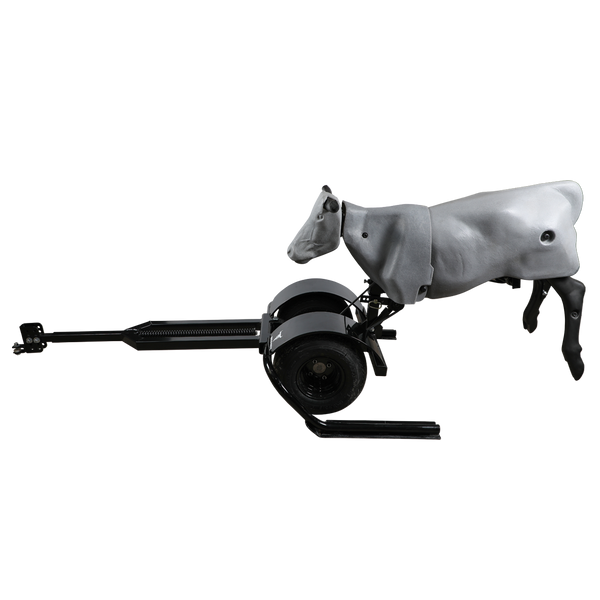 Smarty Rodeo | Trainer