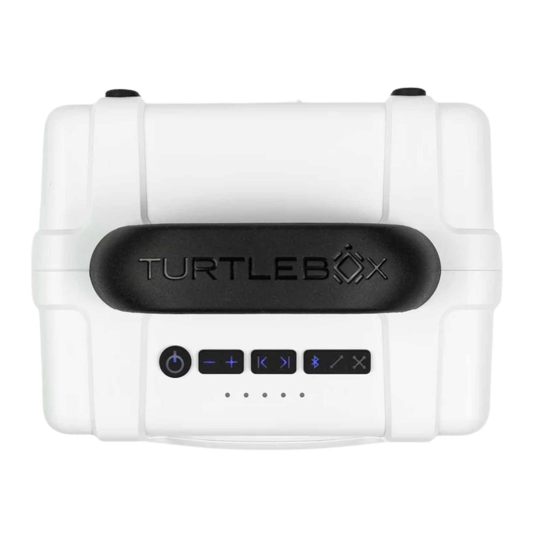 Turtlebox | Cub