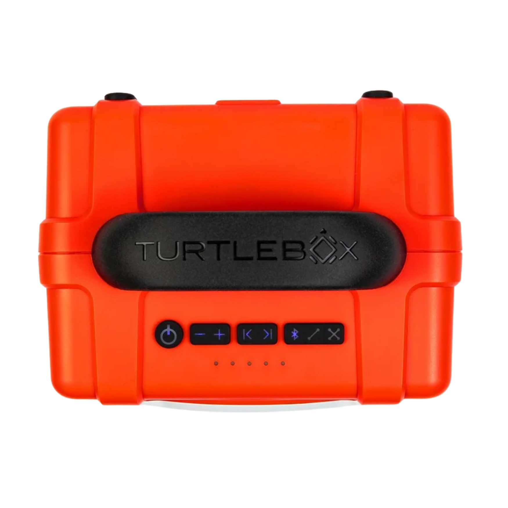 Turtlebox | Cub