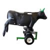 Smarty Rodeo | Xtreme
