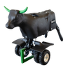 Smarty Rodeo | Xtreme