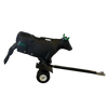 Smarty Rodeo | Xtreme