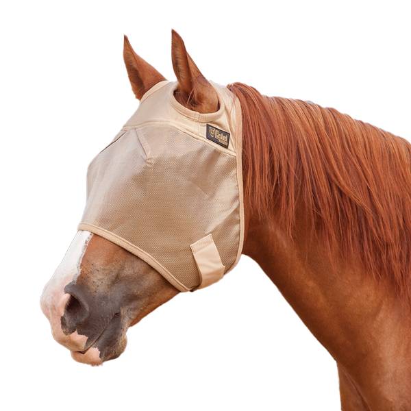 Cashel | Economy Fly Mask