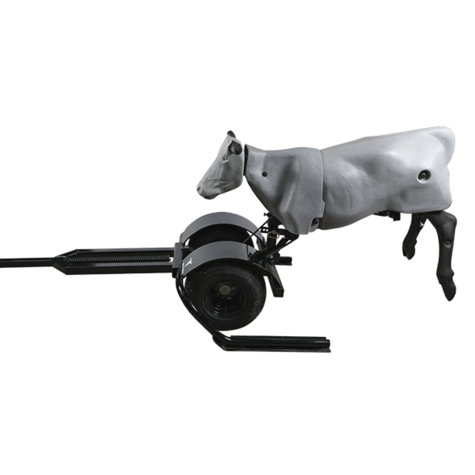 Smarty Rodeo | Trainer
