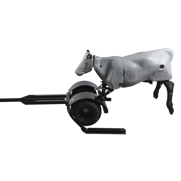 Smarty Rodeo | Trainer