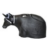 Smarty Rodeo | Bones 2.0