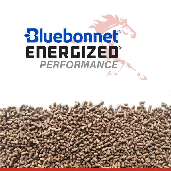 Bluebonnet Feeds | Energized Performance