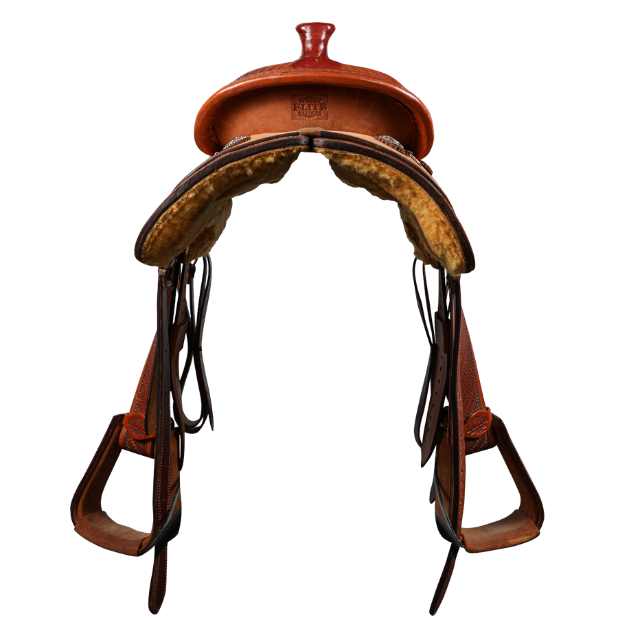 Economy Halter | Yearling