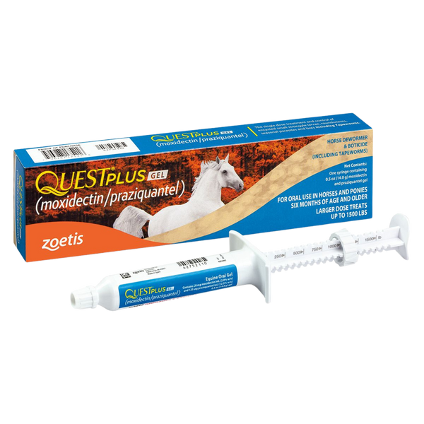 Quest Plus | Gel Horse Dewormer & Boticide | 1 Dose