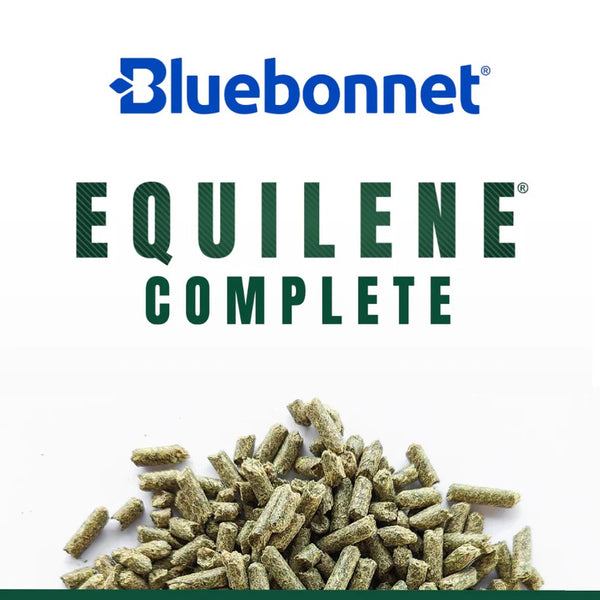 Bluebonnet Feeds | Equilene Complete