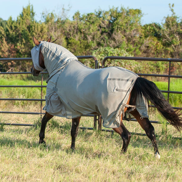 Cashel | Econo Fly Sheet with Neck