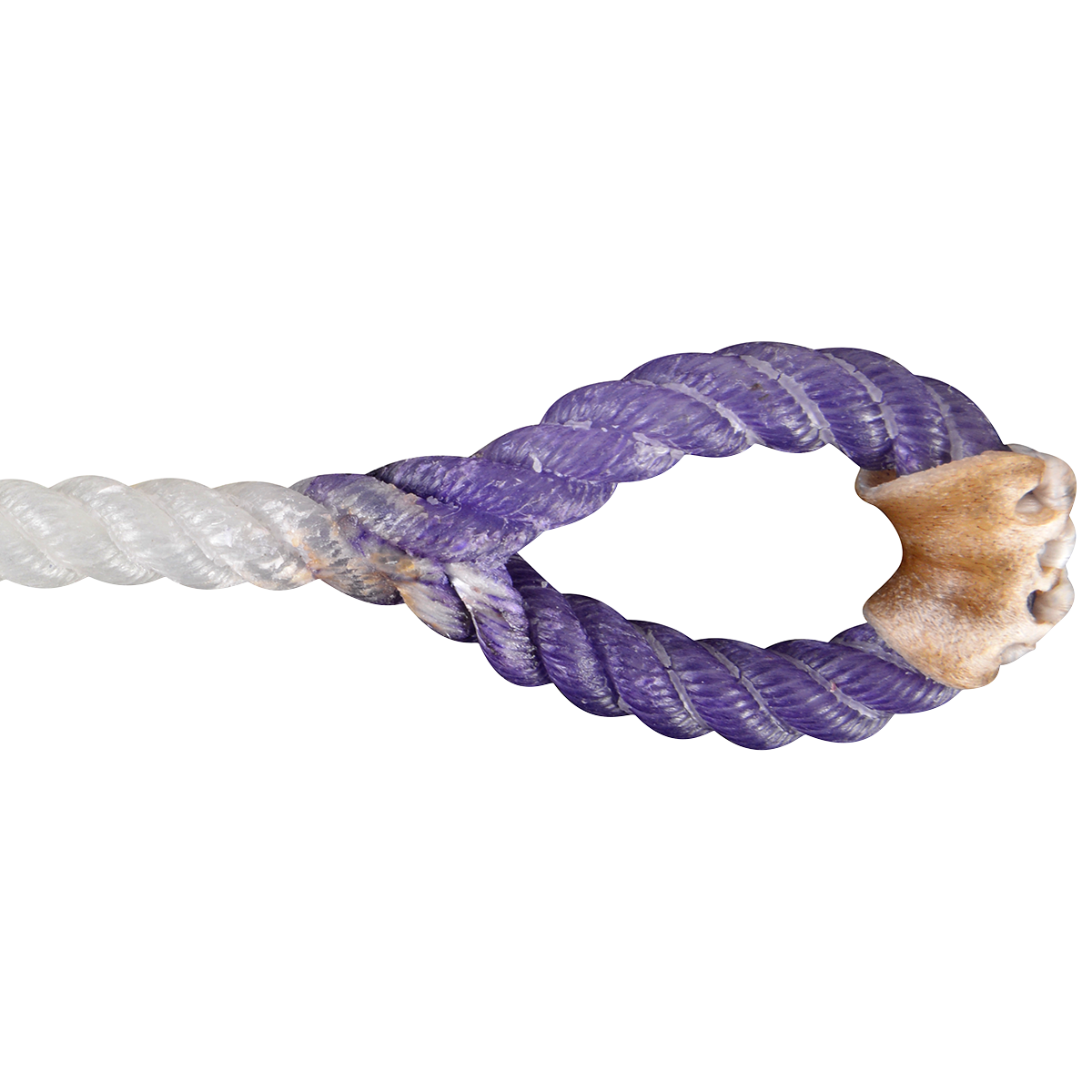 Rattler | Racer Calf String | Purple Eye