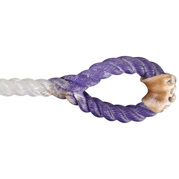 Rattler | Racer Calf String | Purple Eye