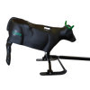Smarty Rodeo | Steer