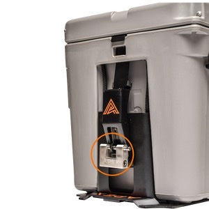 AniMed | Wheat Germ Oil-Blend | Gallon