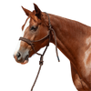 Cashel |  Flat Braid Halter w/ 9' Lead