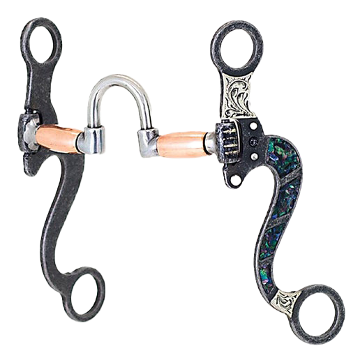 Cowboy Tack | Black Pearl Correctional Bit
