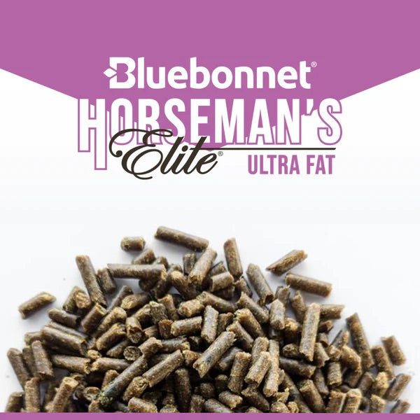 Bluebonnet Feeds | Horseman's Elite Ultra Fat