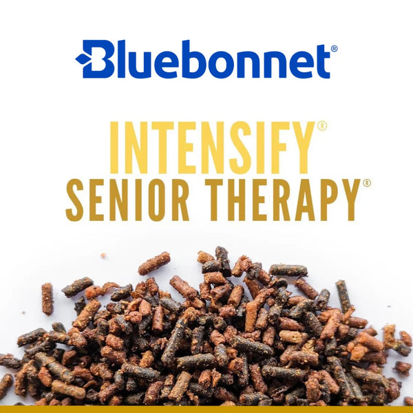 Bluebonnet Feeds | Intensify Senior Therapy
