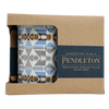 Panacur | Horse Dewormer Paste | 25gm