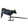 Smarty Rodeo | Steer