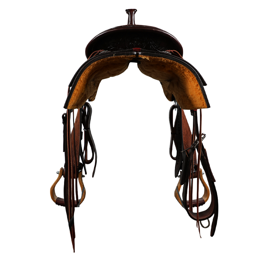 Economy Halter | Yearling