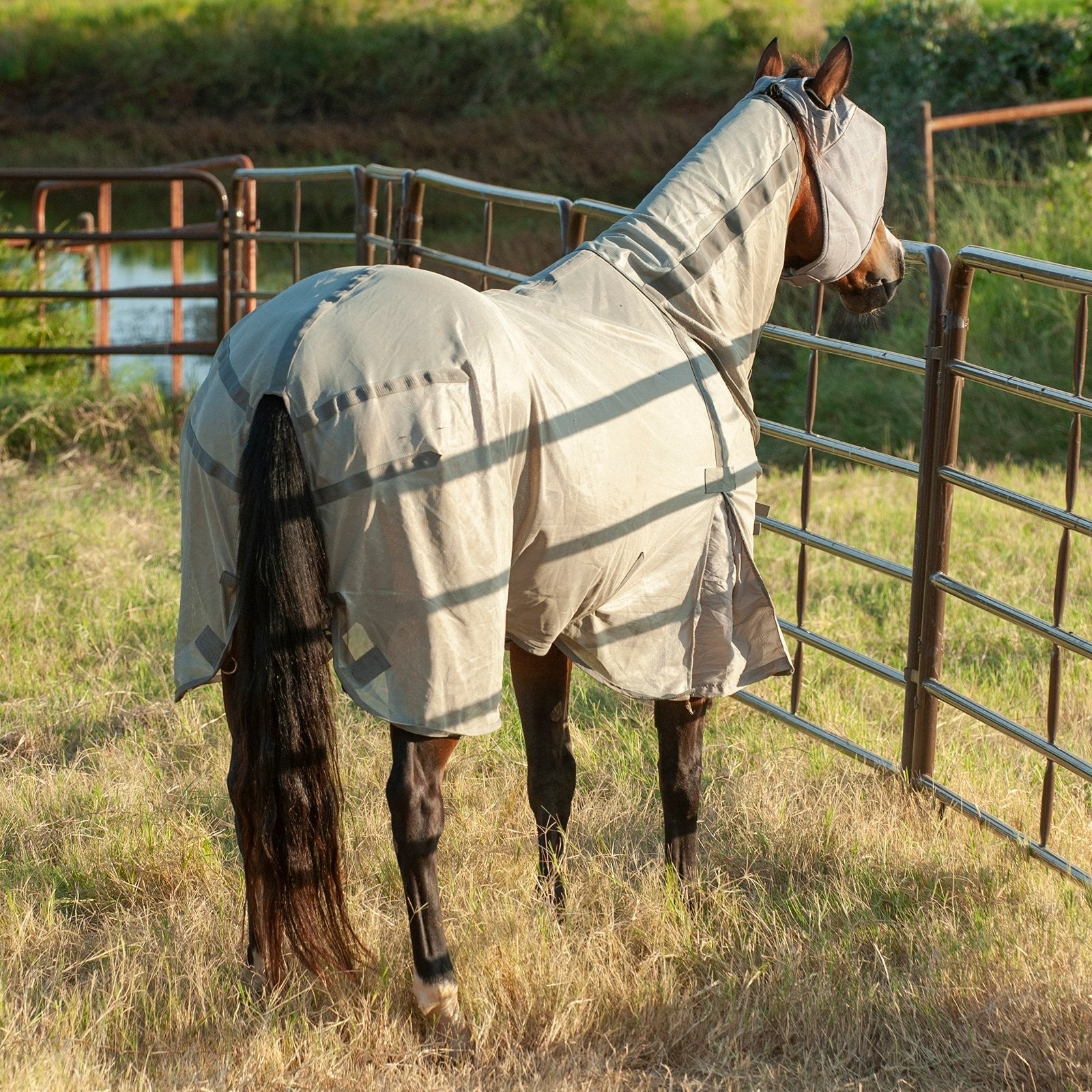 Cashel | Econo Fly Sheet with Neck